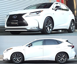 RS-R Best-i Active Coilovers for Lexus NX AZ10