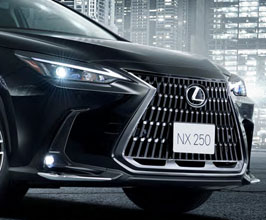 Lexus JDM Factory Option Custom Front Accents (Chrome Plated ABS