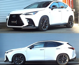 RS-R Best-i Active Coilovers for Lexus NX AZ20