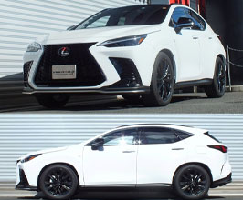 RS-R Ti2000 Down Sus Lowering Springs | Springs for Lexus NX AZ20
