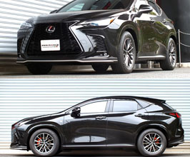 RS-R Down Sus Lowering Springs for Lexus NX AZ20