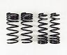 RS-R Superdown Sus Lowering Springs