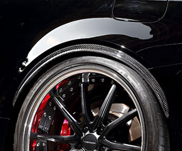 Fenders for Lexus RC XC10