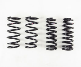 RS-R Down Sus Lowering Springs for Lexus RC XC10