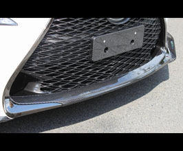 Lems Lower Grill Garnish (Dry Carbon Fiber) for Lexus RCF