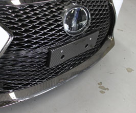 Lems Front Number Base - Japan Spec (Dry Carbon Fiber) for Lexus RCF