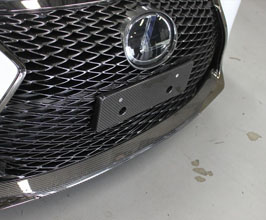 Lems Front Number Base - Japan Spec (Dry Carbon Fiber) for Lexus RCF 1