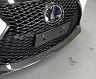 Lems Front Number Base - Japan Spec (Dry Carbon Fiber)