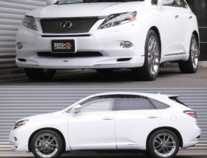 RS-R Down Sus Lowering Springs for Lexus RX 3