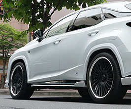 Artisan Spirits Sports Line BLACK LABEL Front and Rear 10mm Over Fenders (FRP) for Lexus RX 4