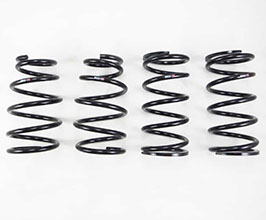 RS-R Down Sus Lowering Springs for Lexus RX350