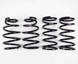 RS-R Down Sus Lowering Springs for Lexus RX 4