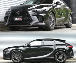 RS-R Down Sus Lowering Springs for Lexus RX500h AWD