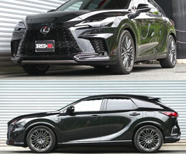 RS-R Down Sus Lowering Springs for Lexus RX 5