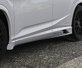 Body Kit Pieces for Lexus RX AL20