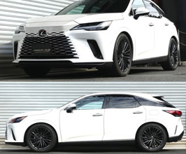 RS-R Best-i Active Coilovers | Coil-Overs for Lexus RX AL30 | TOP