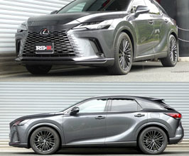 RS-R Down Sus Lowering Springs for Lexus RX AL30