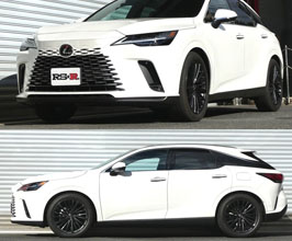 RS-R Ti2000 Down Sus Lowering Springs | Springs for Lexus RX AL30