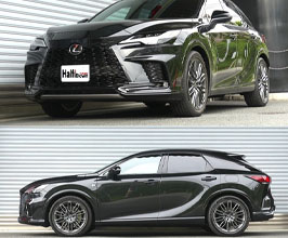 RS-R Ti2000 Half Down Lowering Springs | Springs for Lexus RX AL30