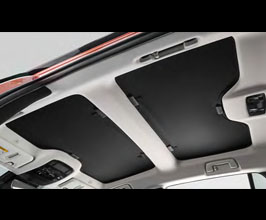 Interior for Lexus RZ 1