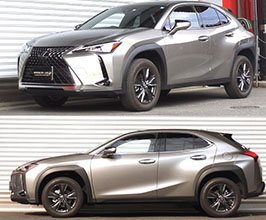 RS-R Best-i Up and Down Coilovers for Lexus UX 1