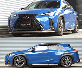 RS-R Best-i Coilovers for Lexus UX 1