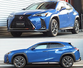 RS-R Best-i Up and Down Coilovers for Lexus UX 1