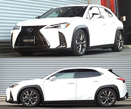 RS-R Best-i Coilovers for Lexus UX 1
