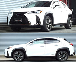 RS-R Best-i Up and Down Coilovers for Lexus UX 1