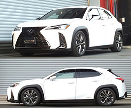 RS-R Best-i Coilovers for Lexus UX 1