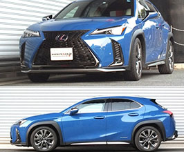 RS-R Down Sus Lowering Springs for Lexus UX 1