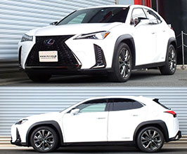 RS-R Ti2000 Down Sus Lowering Springs for Lexus UX 1