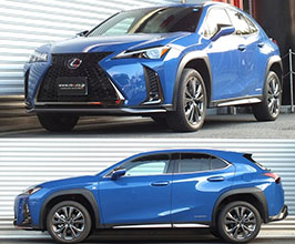 RS-R Best-i Up and Down Coilovers for Lexus UX ZA10
