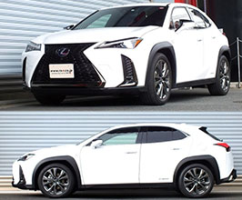 RS-R Down Sus Lowering Springs for Lexus UX ZA10