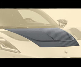 Hoods for Maserati MC20