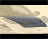 MANSORY Front Hood Bonnet (Dry Carbon Fiber) for Maserati MC20