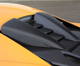 Trunk Lids for McLaren 570S