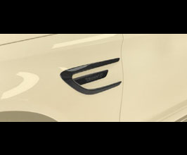 MANSORY Fender Garnishes with Logo (Dry Carbon Fiber) for Mercedes C-Class C205