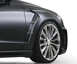 Fenders for Mercedes CLS-Class W218
