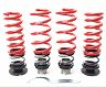 H&R VTF Adjustable Lowering Springs