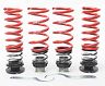 H&R VTF Adjustable Lowering Springs for Mercedes E450 4Matic Coupe C238