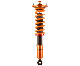 Aragosta Type-W Wagon SUV Concept Coilovers for Mercedes G-Class W463