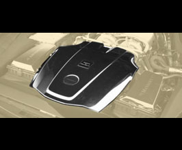 MANSORY Engine Cover (Dry Carbon Fiber) for Mercedes GT C190