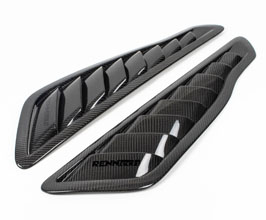 RENNtech Fender Extractor Vents (Carbon Fiber) for Mercedes GT C190