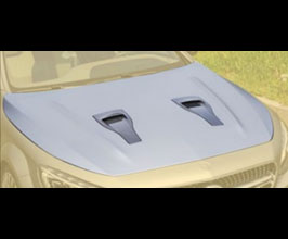 Hoods for Mercedes S-Class C217