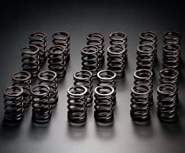 JUN Uprated Valve Springs for Mitsubishi Lancer Evo X