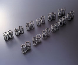 TOMEI Japan Valve Springs - High Lift Compatible Type for Nissan Fairlady Z33