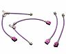 Biot Teflon Brake Lines (Stainless) for Nissan 350Z Z33 with Brembo Calipers