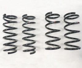 RS-R Down Sus Lowering Springs for Nissan 350Z Z33