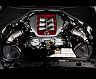 BLITZ Carbon Intake System (Carbon Fiber)